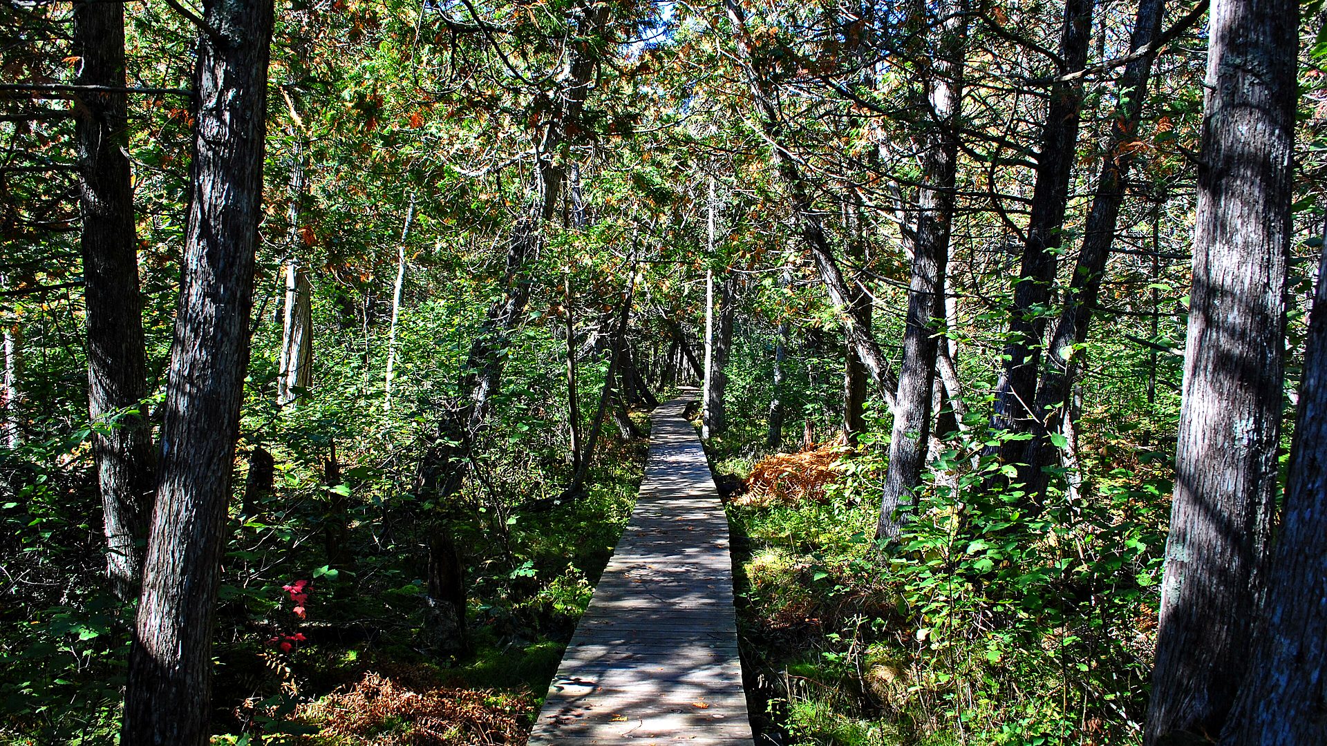 Visitor timing context at North Country National Scenic Trail