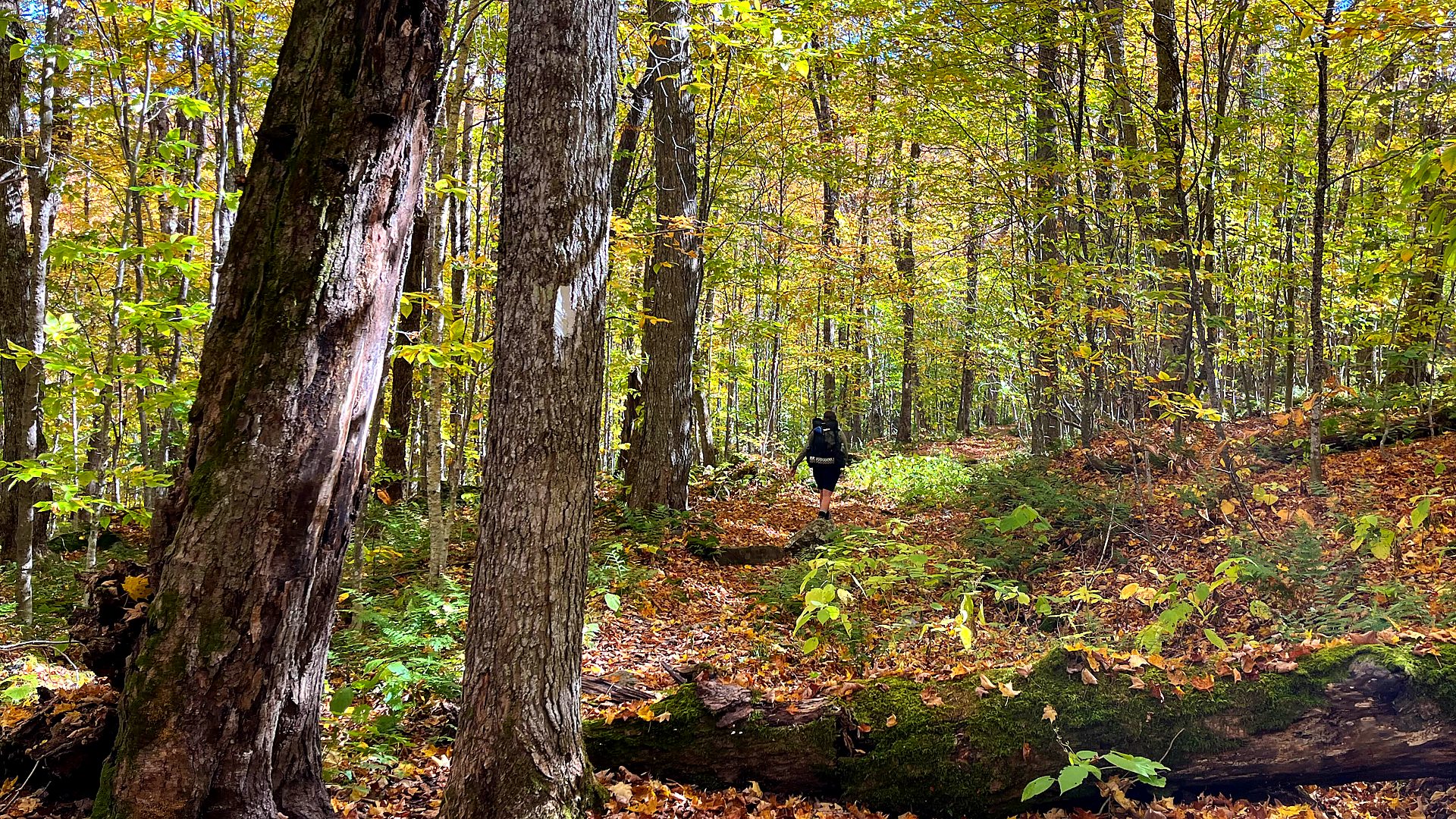 Safety context at North Country National Scenic Trail