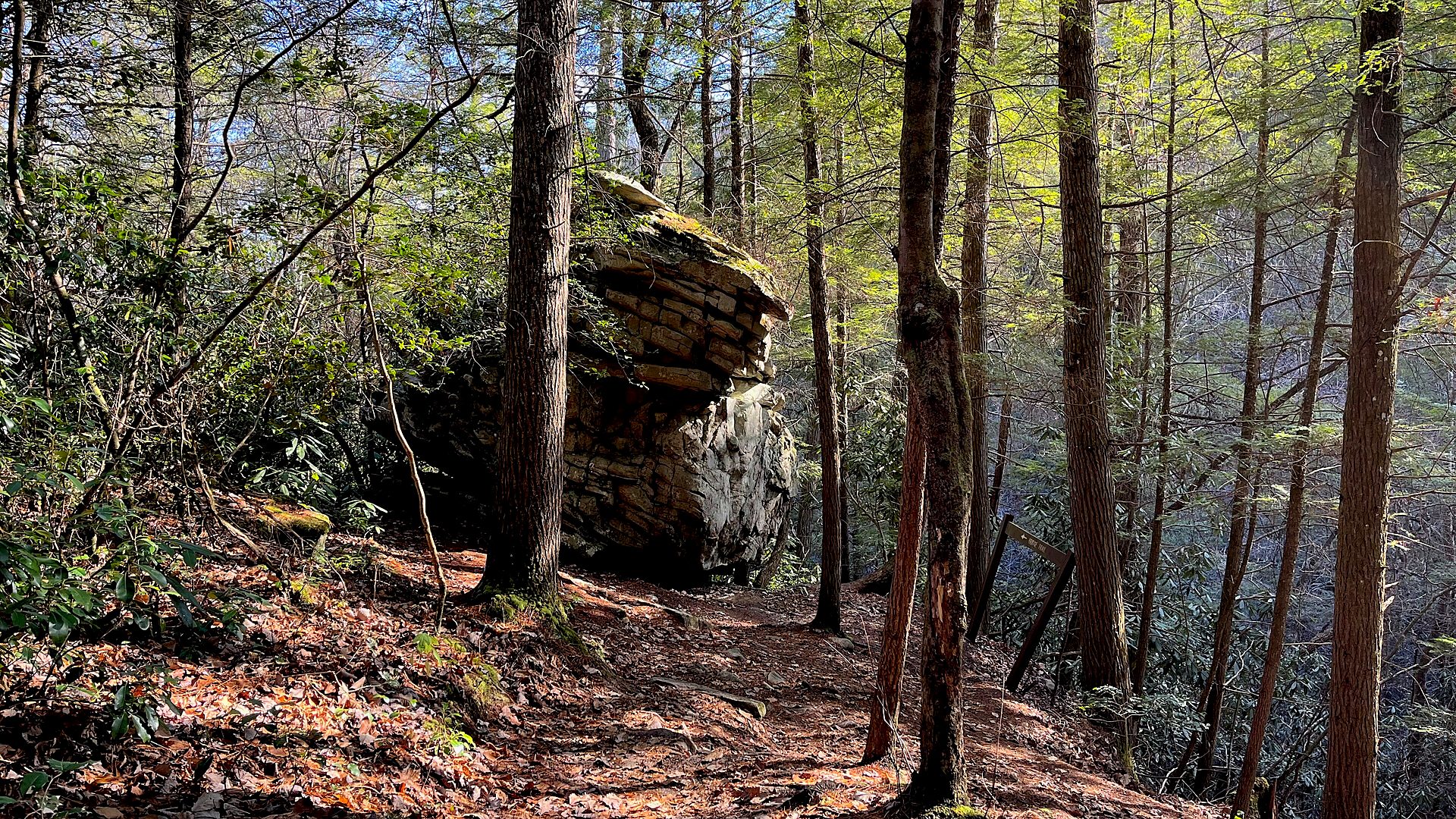Tennessee river gorge
