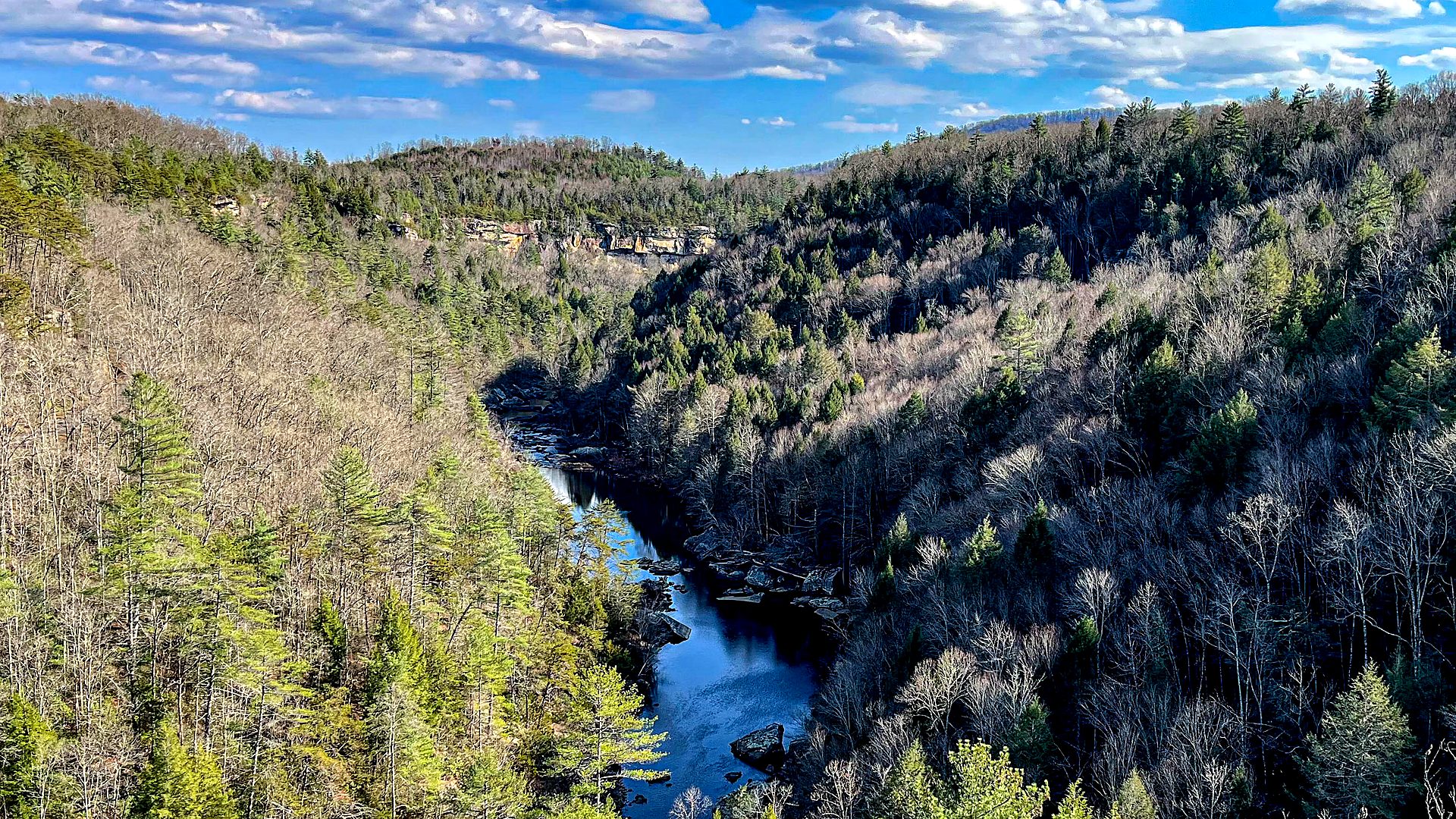 Gorge forest trail