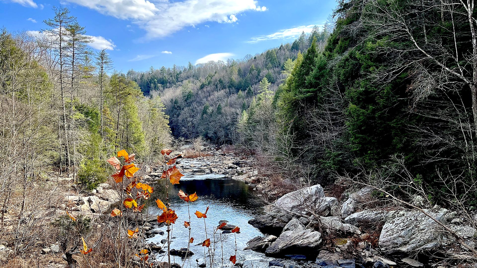 Obed Wild and Scenic River landscape