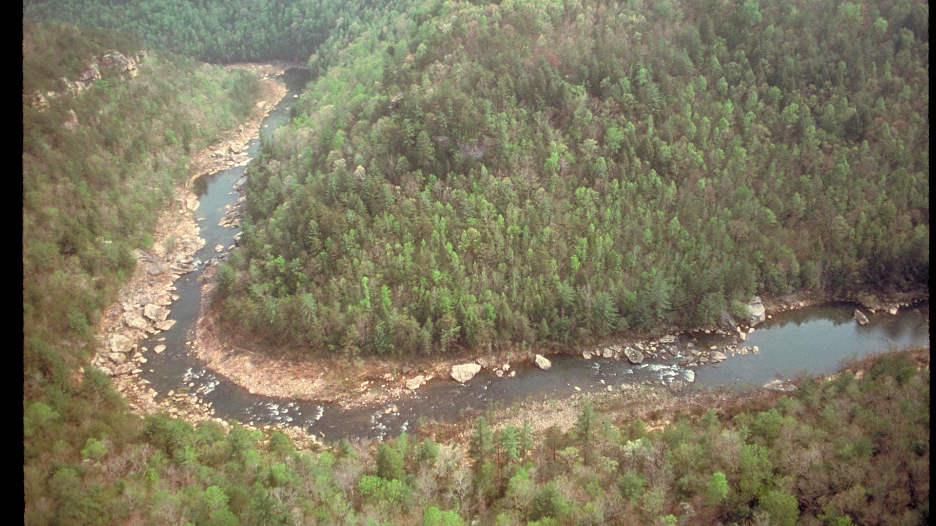 Obed Wild and Scenic River primary landscape