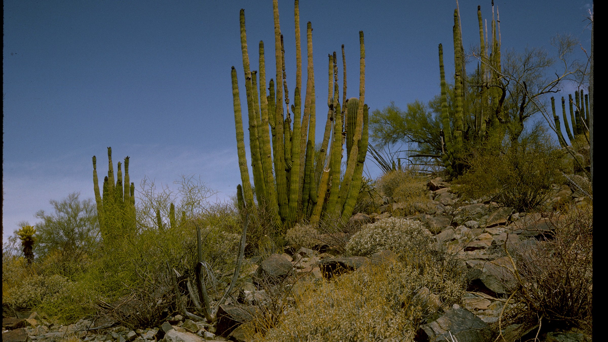 Wider setting around Organ Pipe Cactus National Monument