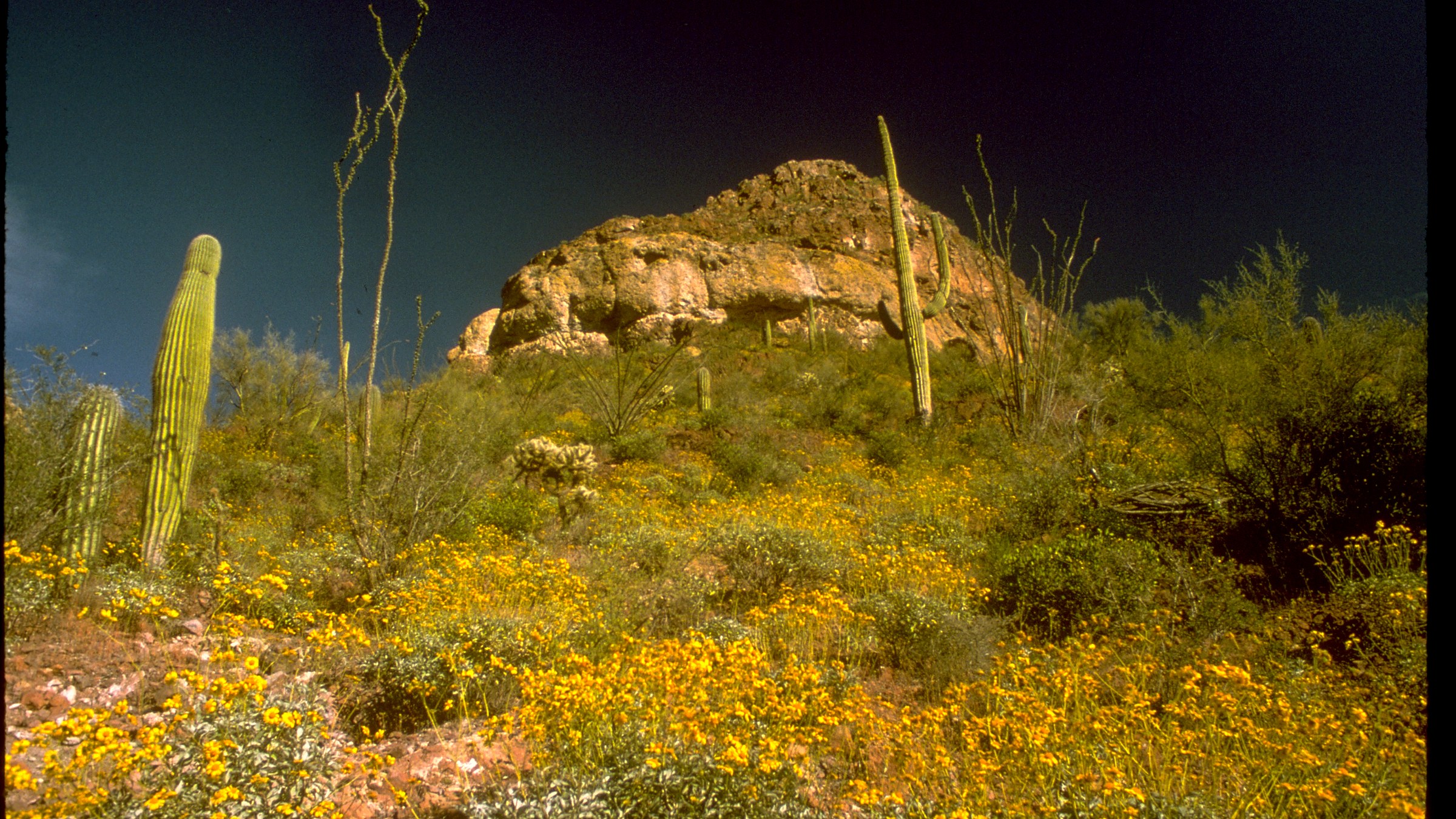Safety context at Organ Pipe Cactus National Monument