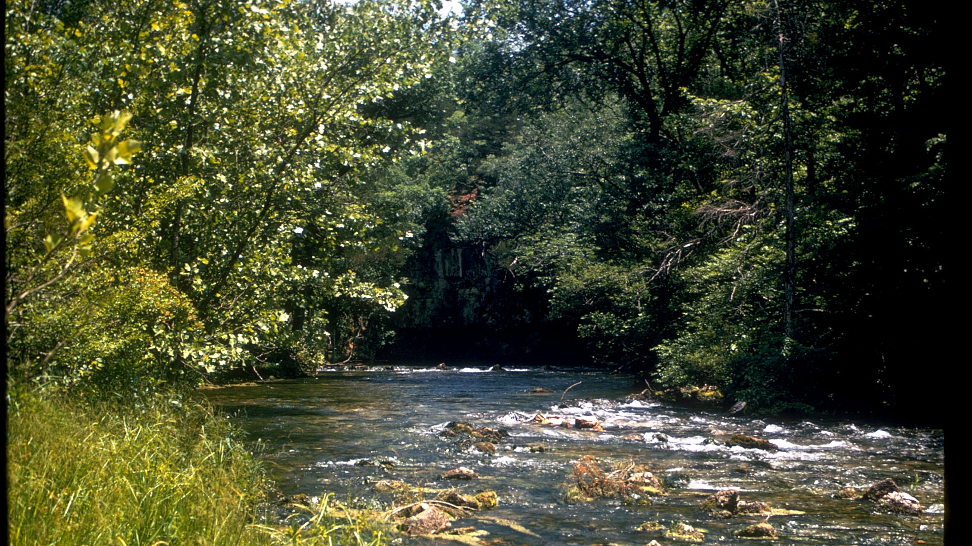 Ozark National Scenic Riverways landscape