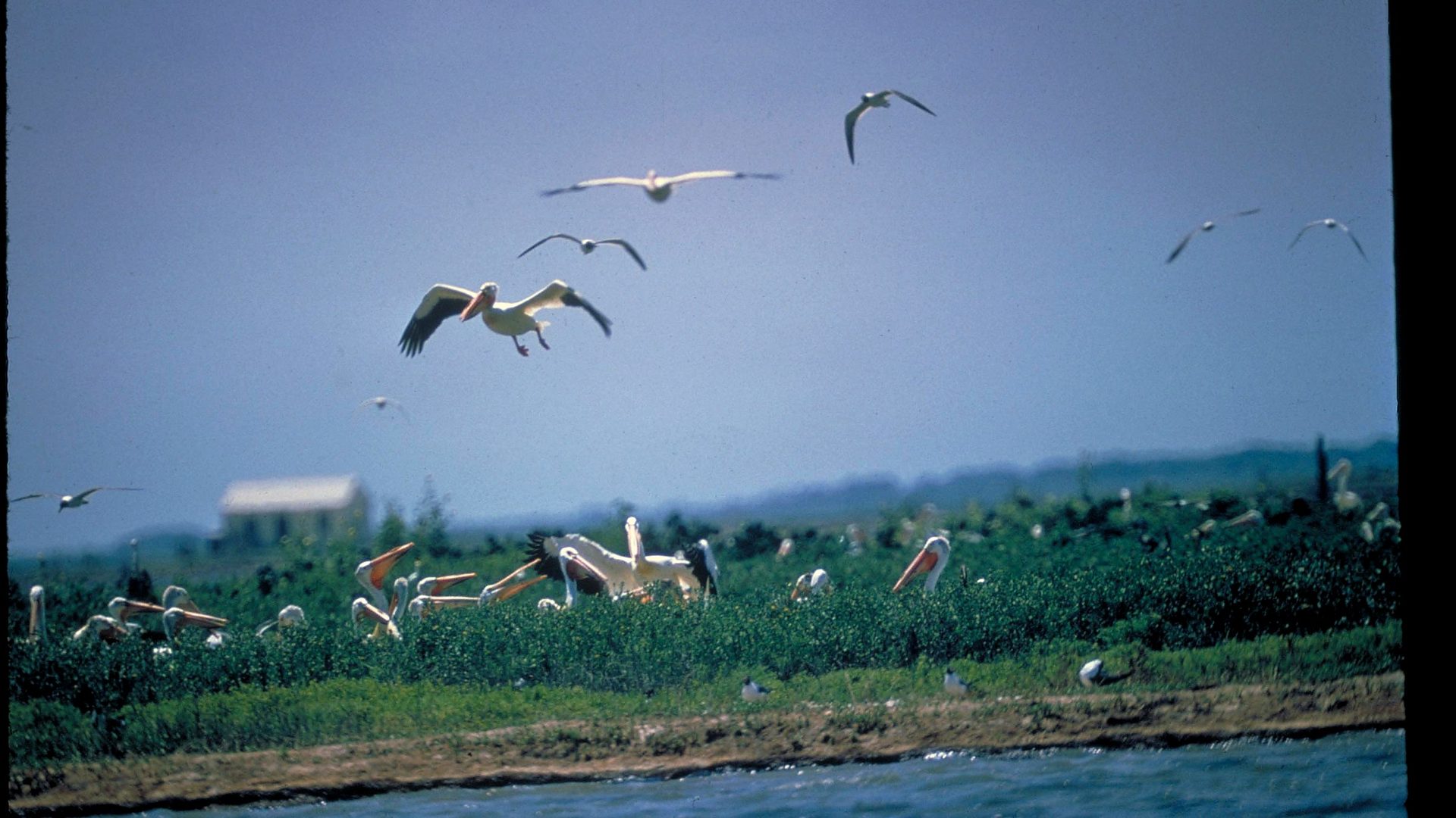 Scenic view at Padre Island National Seashore