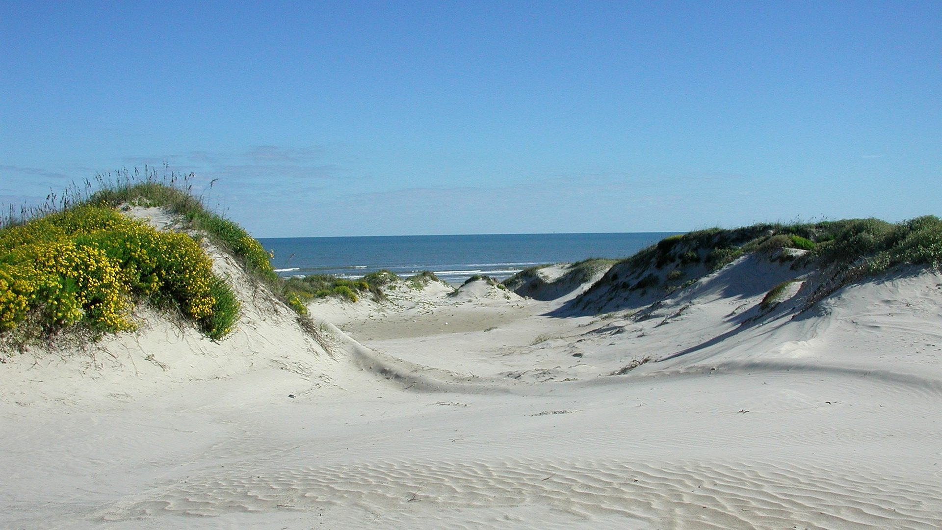 Detail feature at Padre Island National Seashore