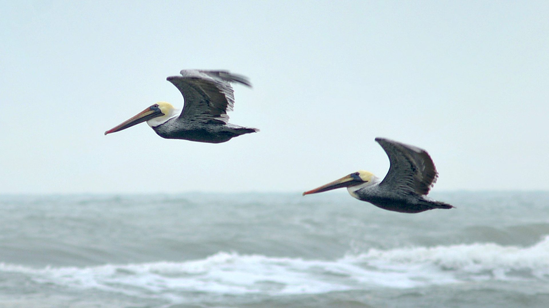 Wider setting around Padre Island National Seashore