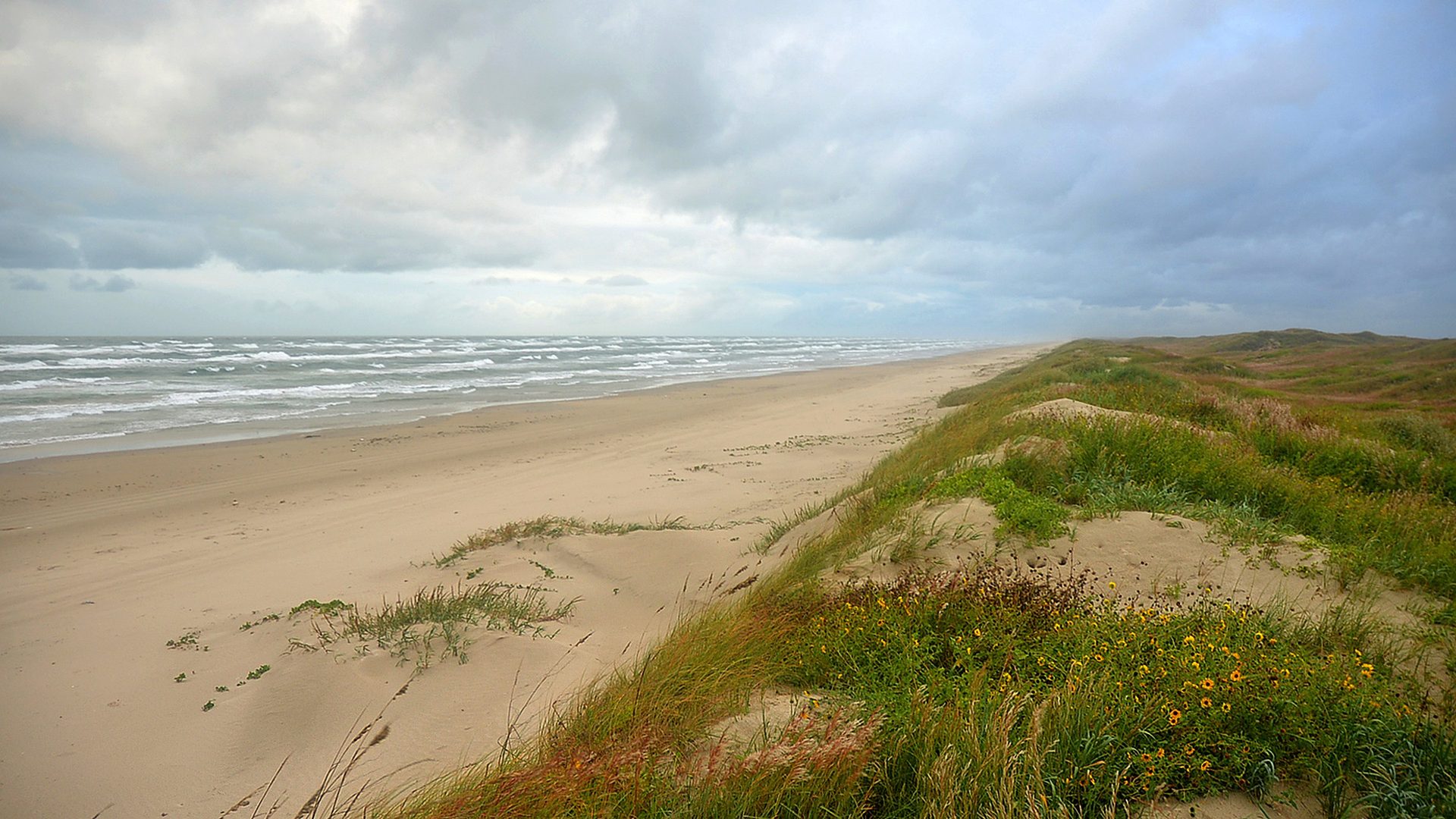Signature view at Padre Island National Seashore