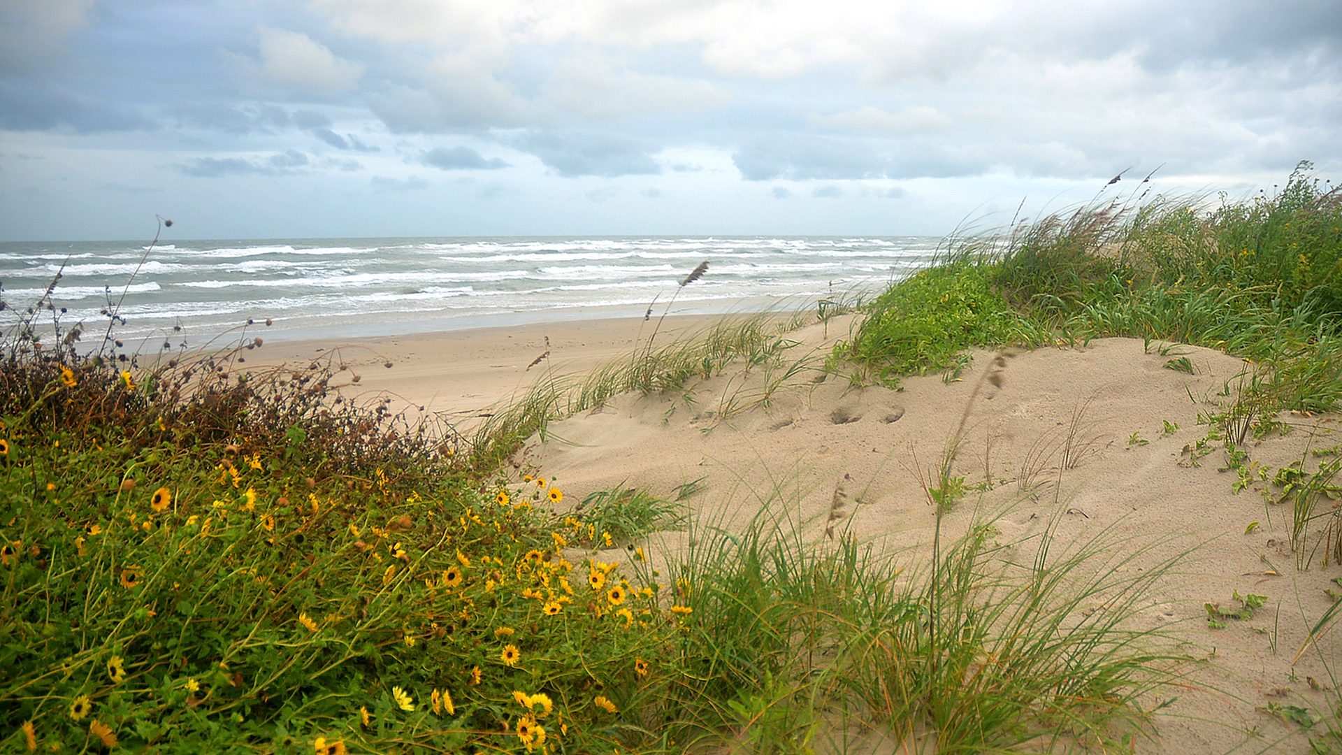 Visitor conditions context at Padre Island National Seashore