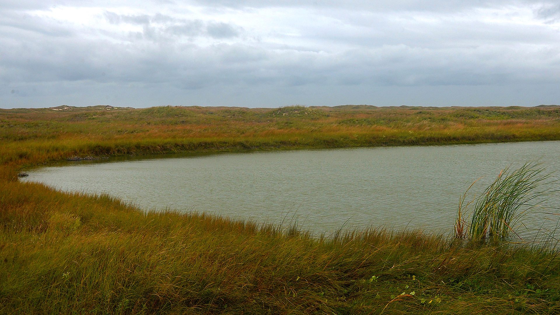Safety context at Padre Island National Seashore
