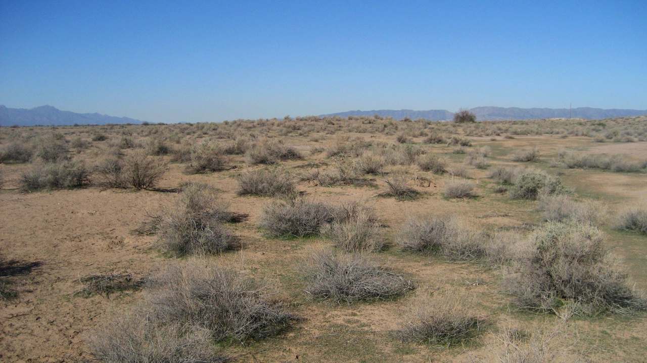 Desert landscape near Phoenix