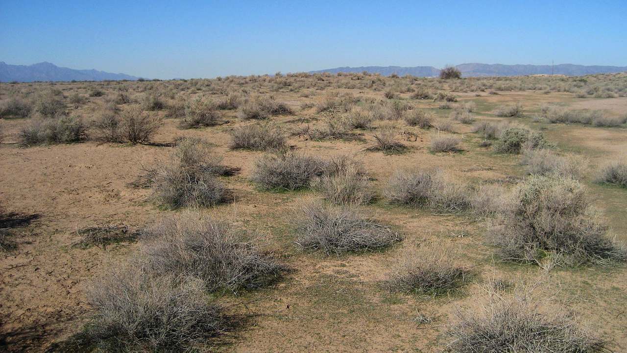Hohokam Pima National Monument landscape