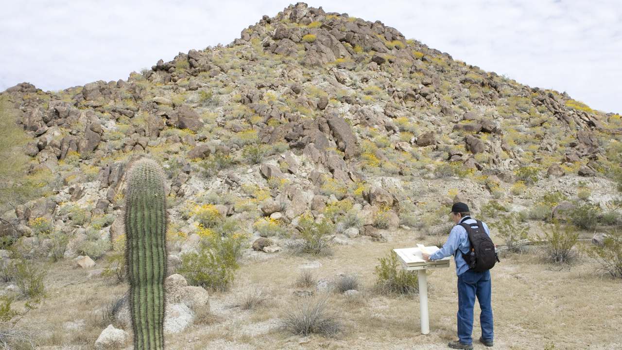 Visitor timing context at Hohokam Pima National Monument
