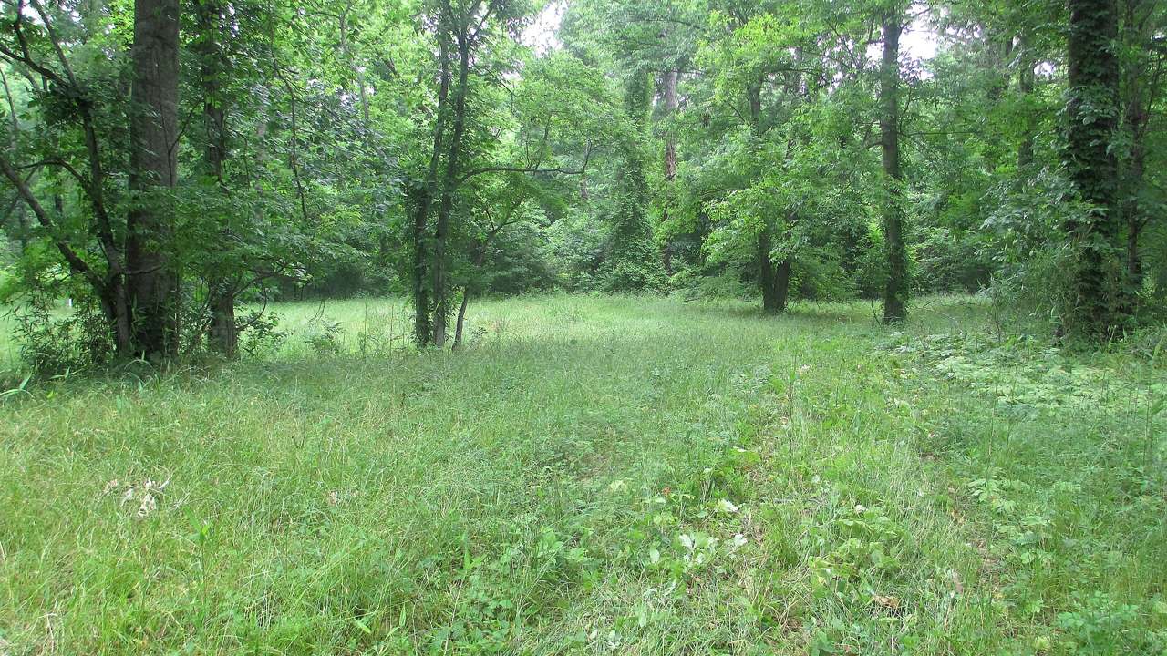 Large earthen mound