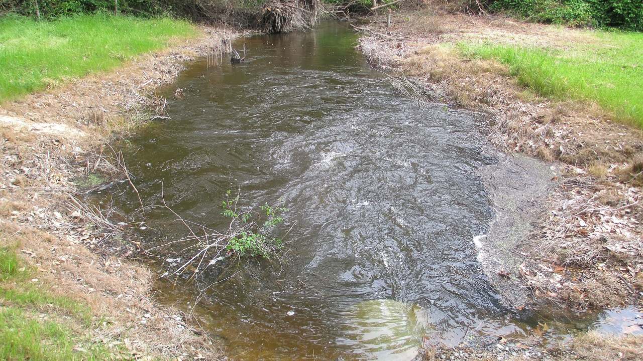 Poverty Point National Monument landscape