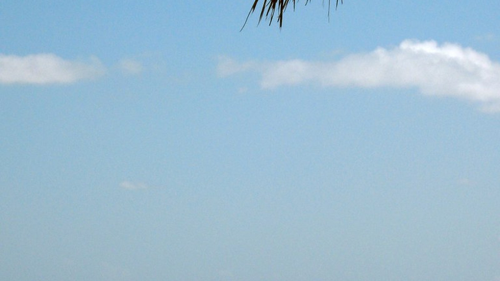 Sarasota scenic landscape for RV trip planning