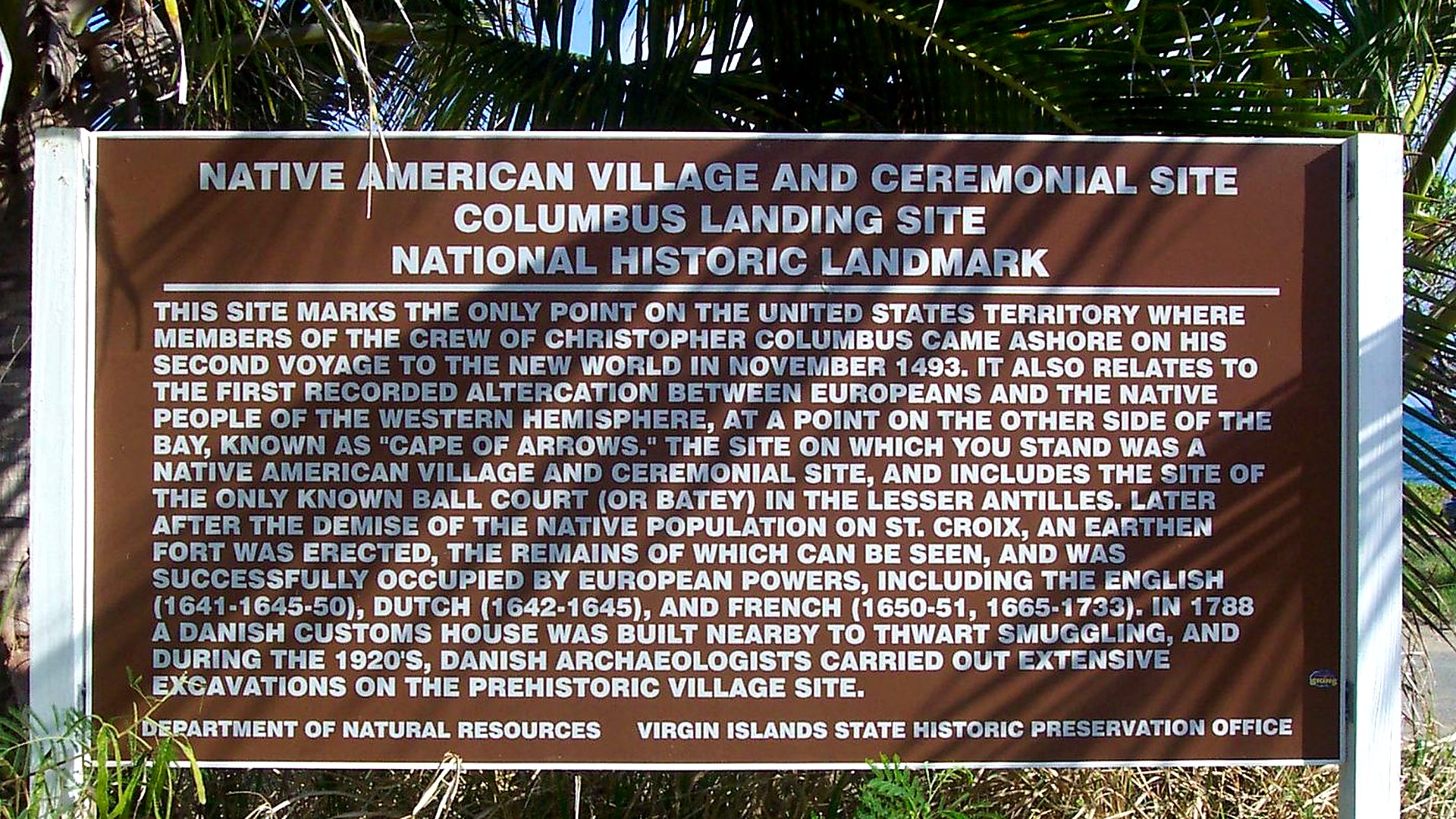 Caribbean mangrove estuary
