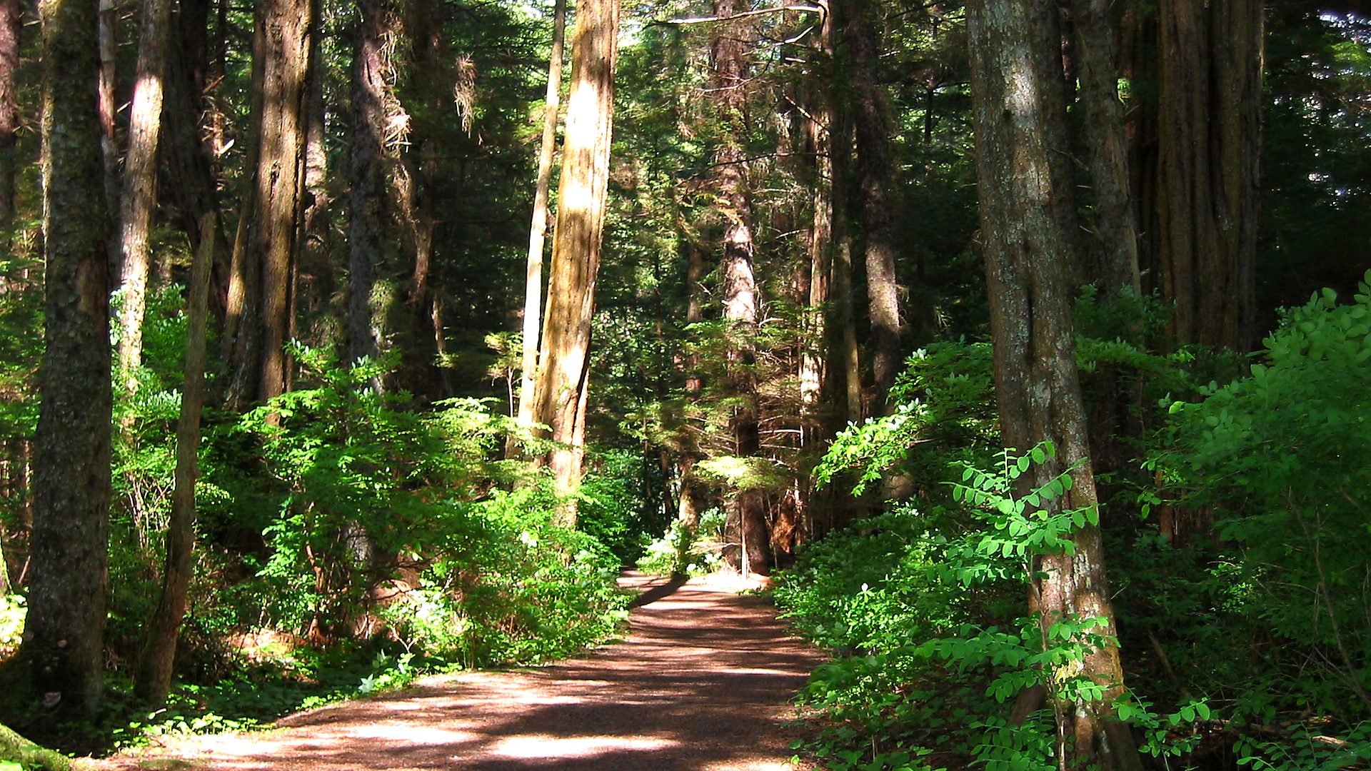 Visitor timing context at Sitka National Historical Park