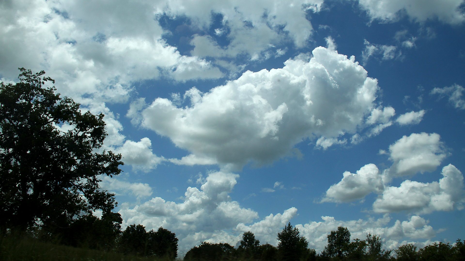 Stones River National Battlefield primary landscape