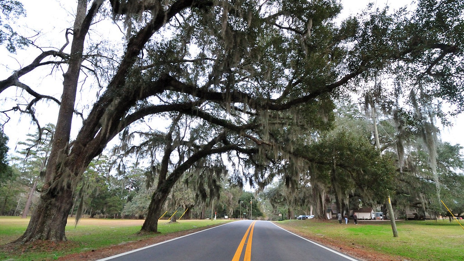 Tallahassee scenic landscape for RV trip planning