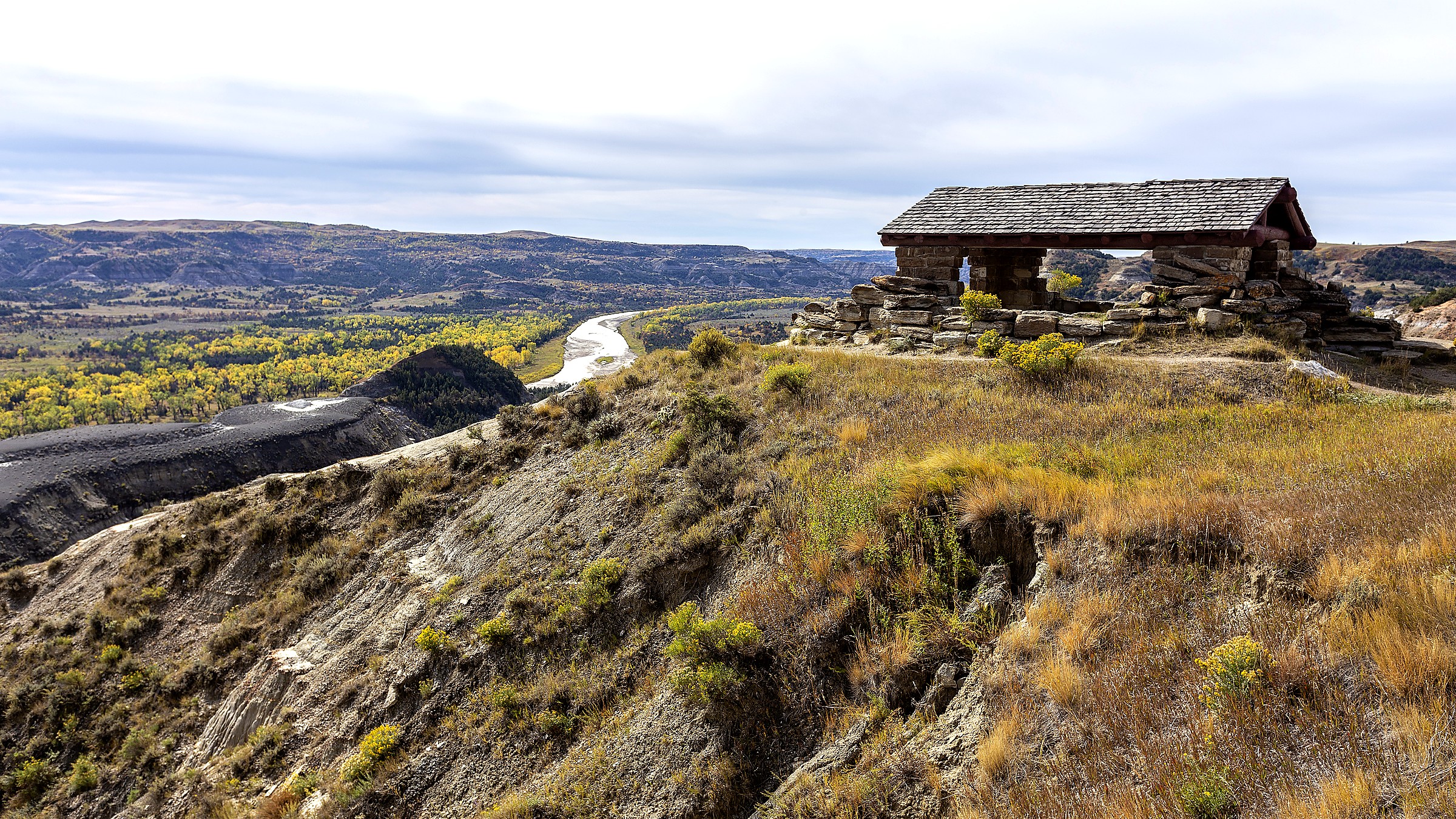 Colorful badlands with free ranging bison at Theodore Roosevelt National Park