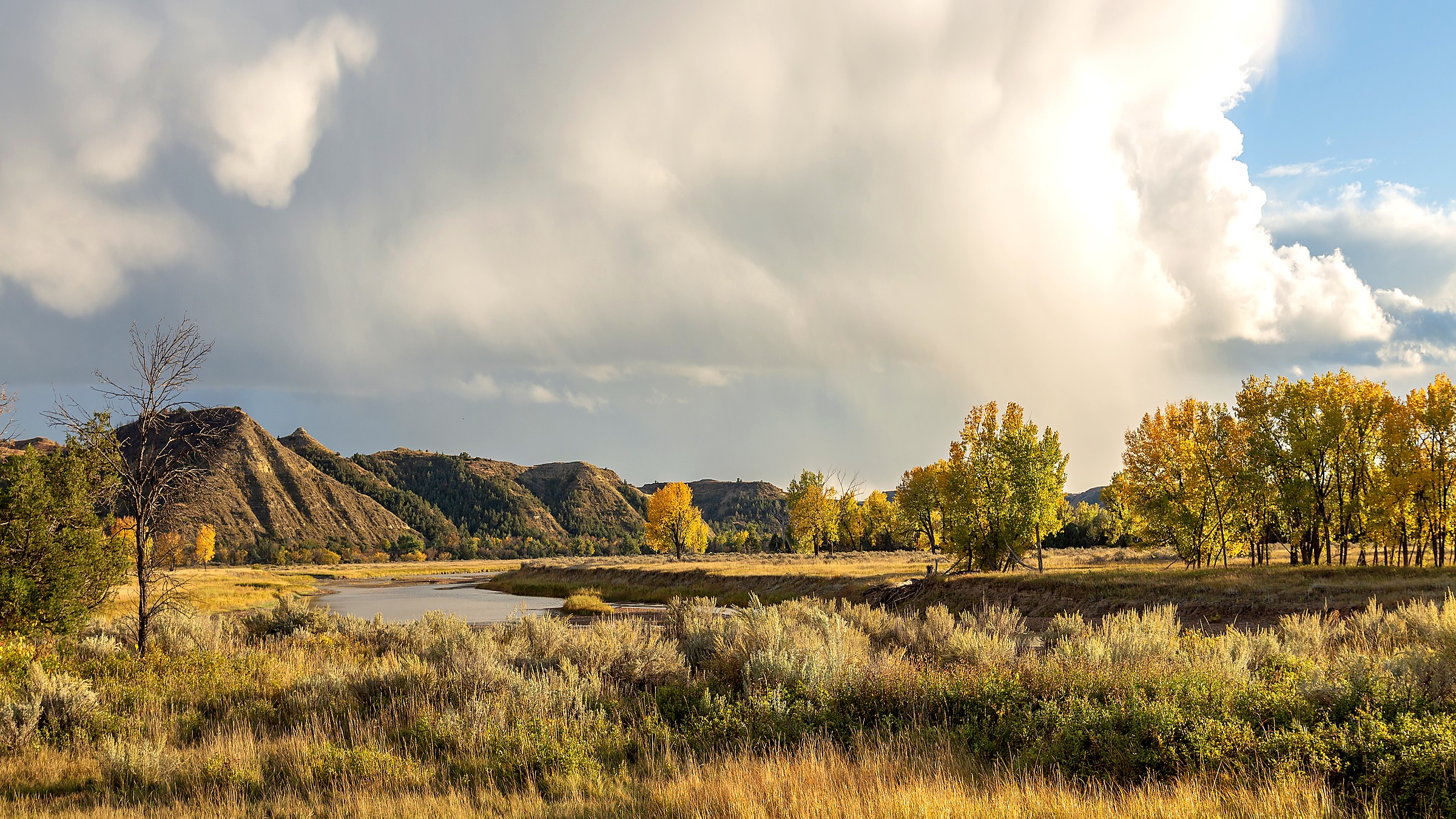 South Unit loop in Theodore Roosevelt National Park
