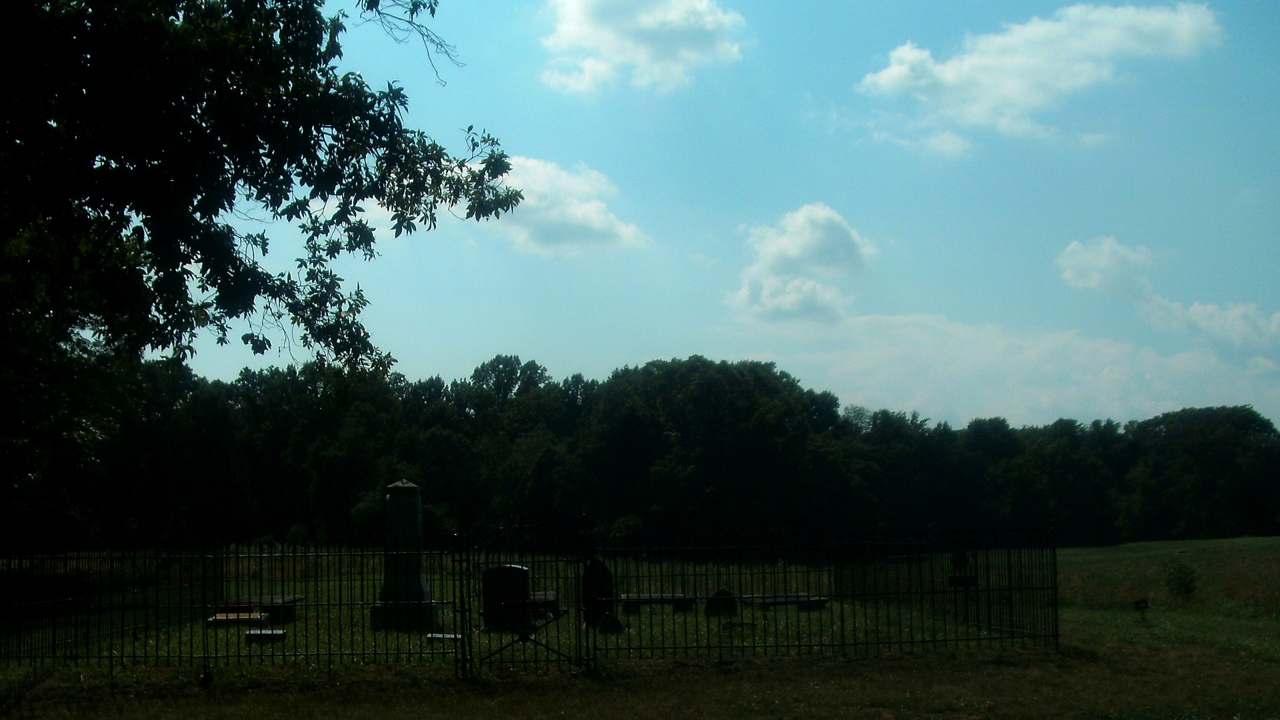 Estate field landscape