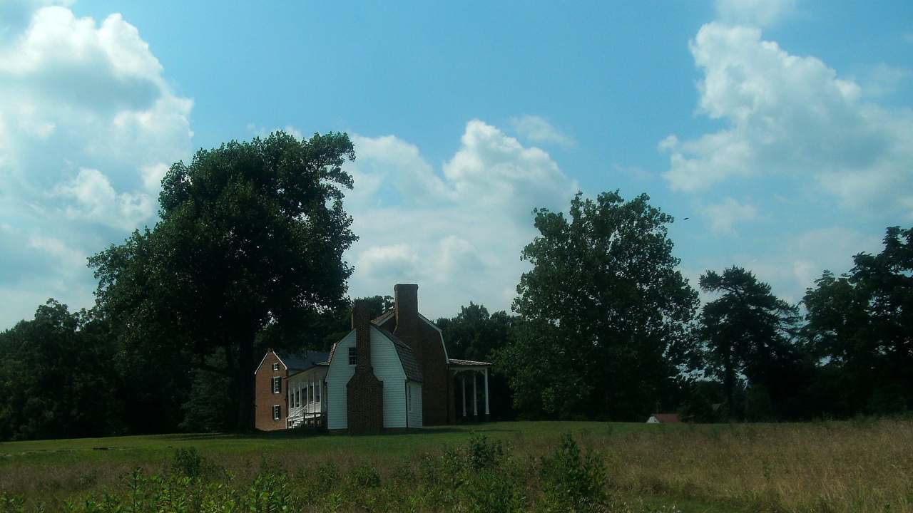 Tree lined farm edge
