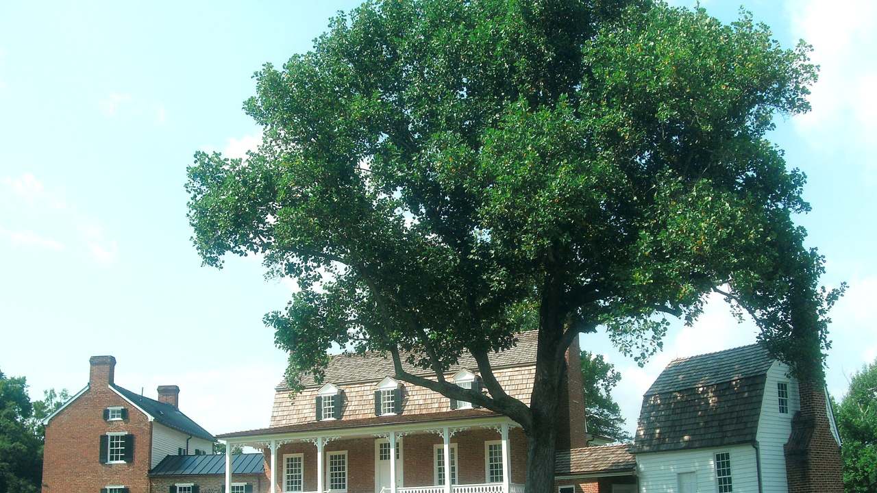 Thomas Stone National Historic Site landscape