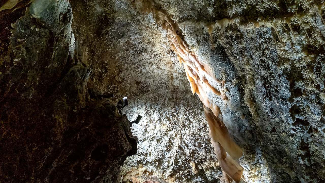 Visitor timing context at Timpanogos Cave National Monument
