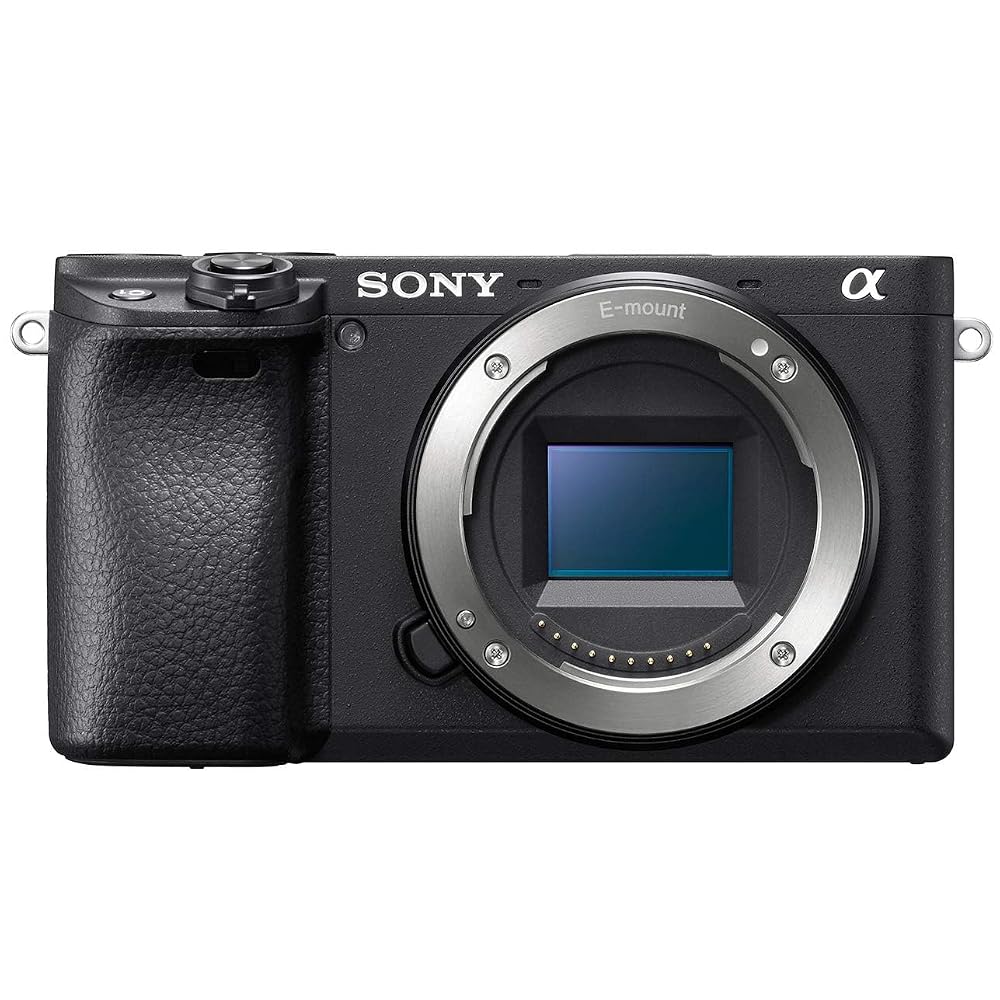 Sony Alpha a6400 mirrorless travel camera