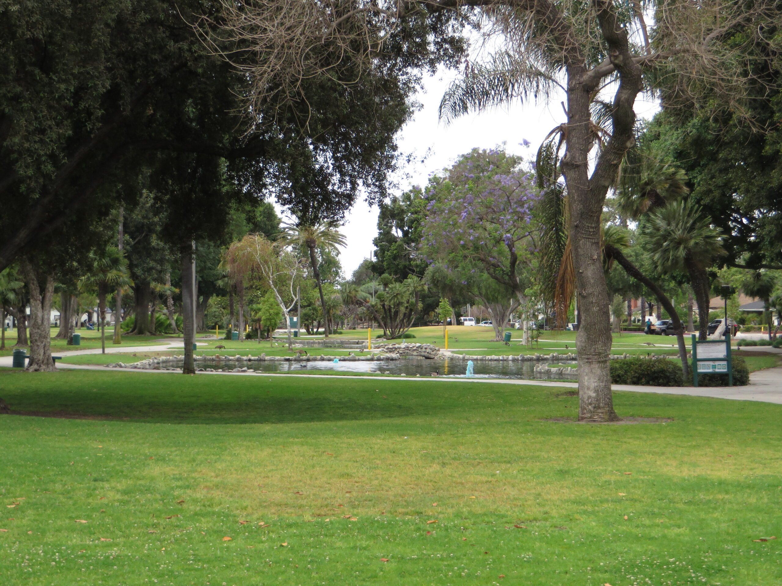 Pond, lawns, and mature trees at Pearson Park near downtown Anaheim