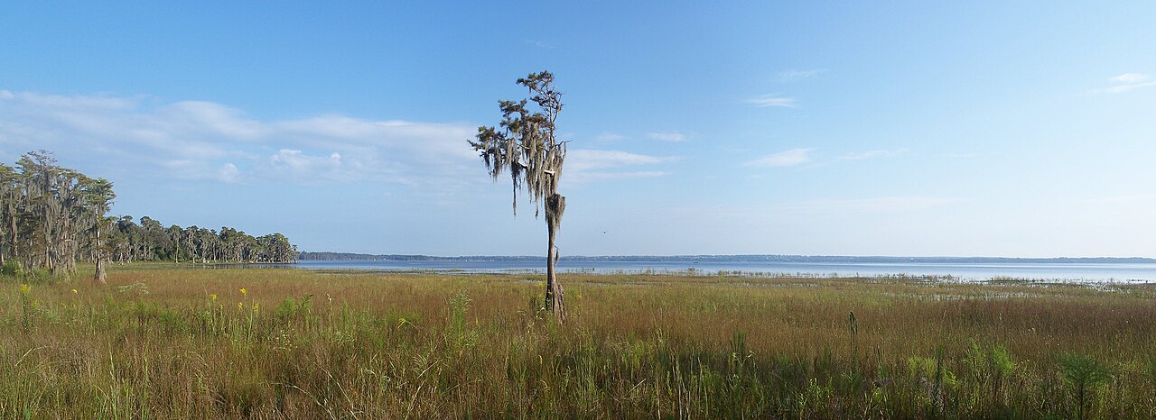 Lake Louisa State Park near Clermont Florida