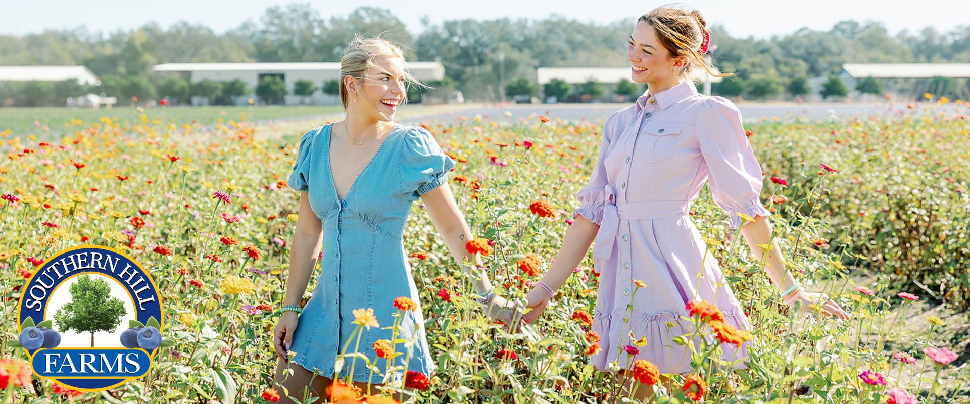 Visitors walking through flower fields at Southern Hill Farms