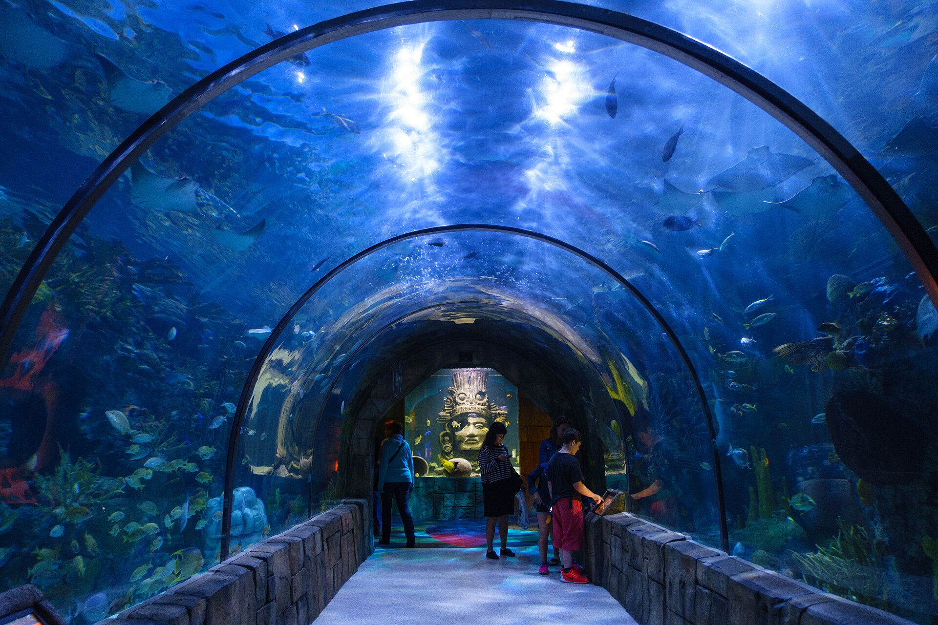 The walk through reef tunnel at Audubon Aquarium in New Orleans