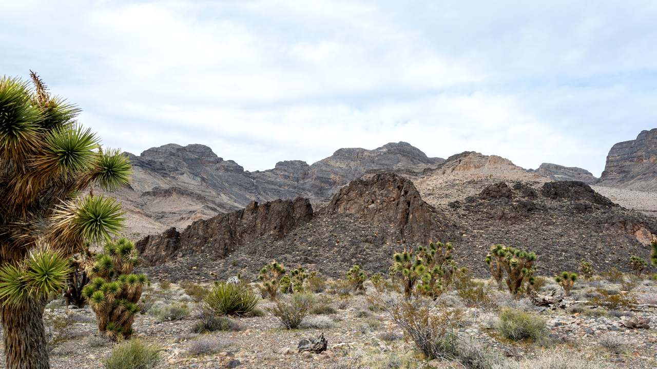 Visitor timing context at Tule Springs Fossil Beds National Monument