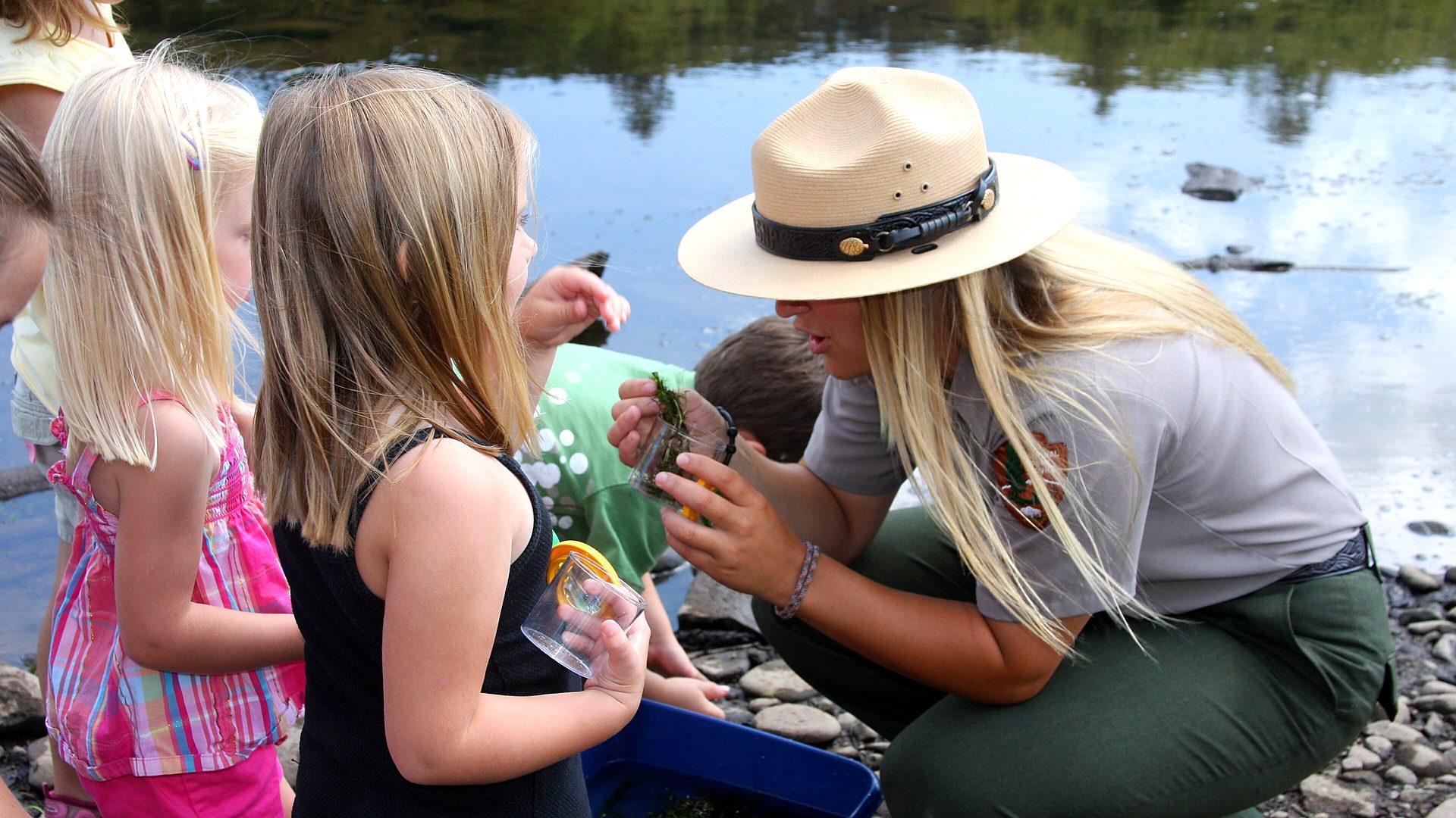 Upper Delaware Scenic and Recreational River primary landscape
