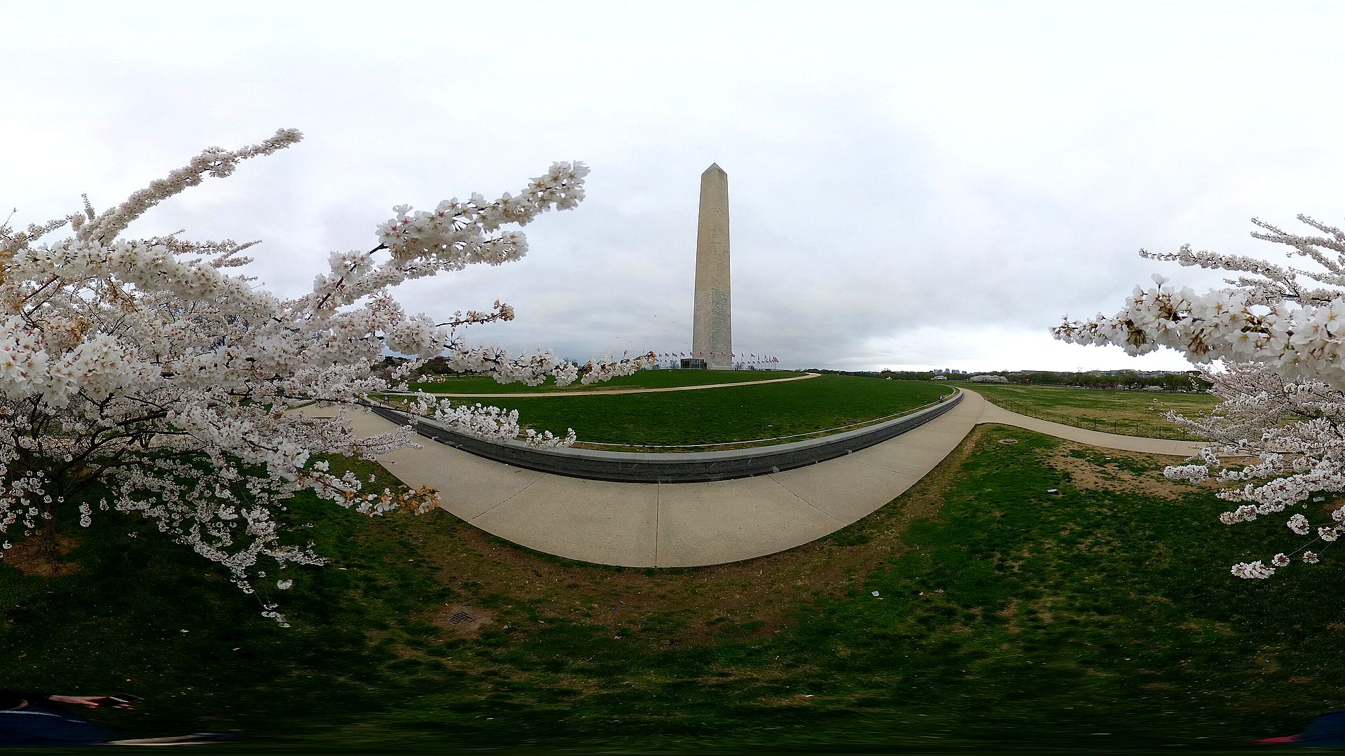 National Mall lawn