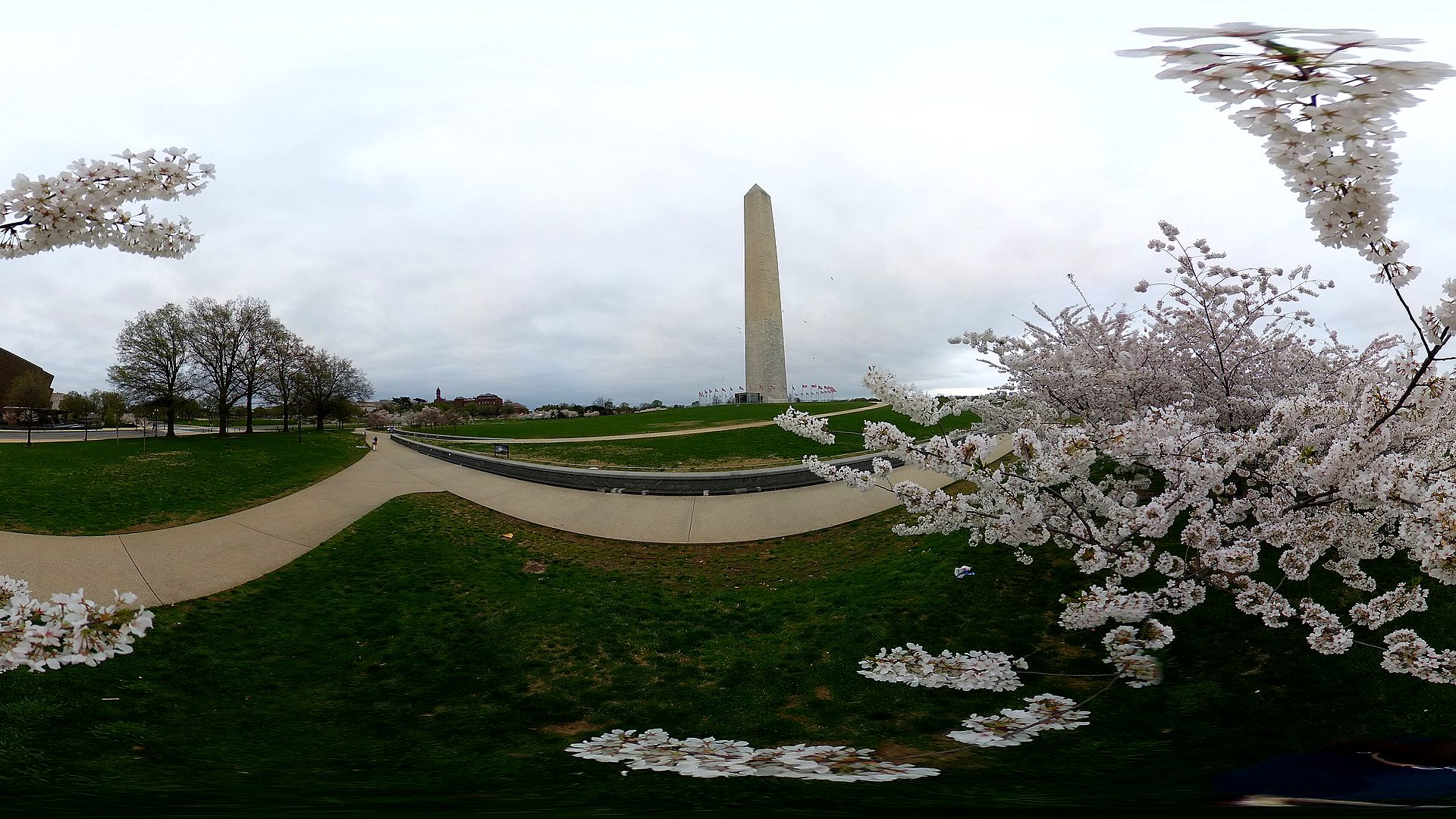 Washington Monument skyline
