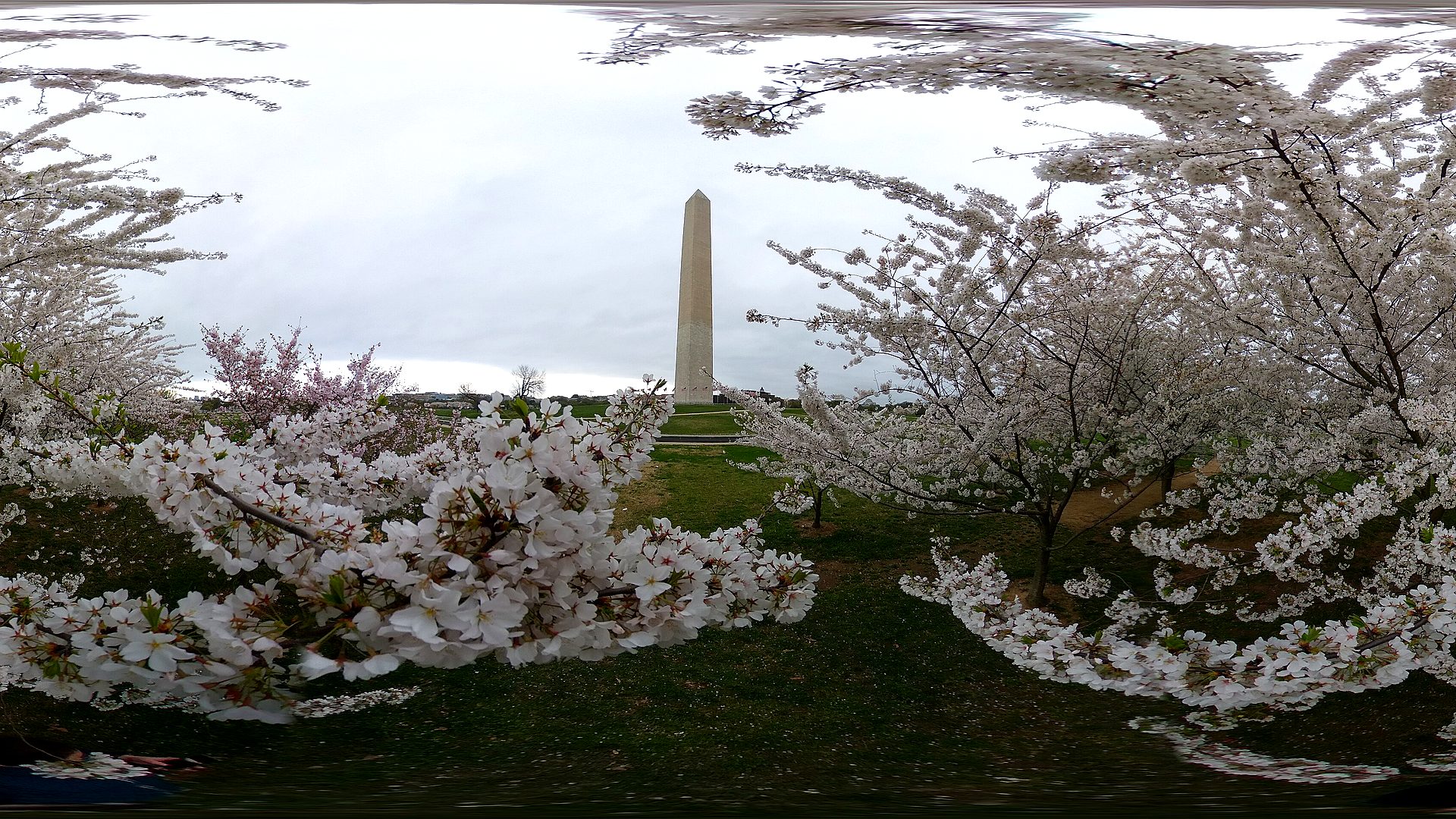 Visitor timing context at Washington Monument
