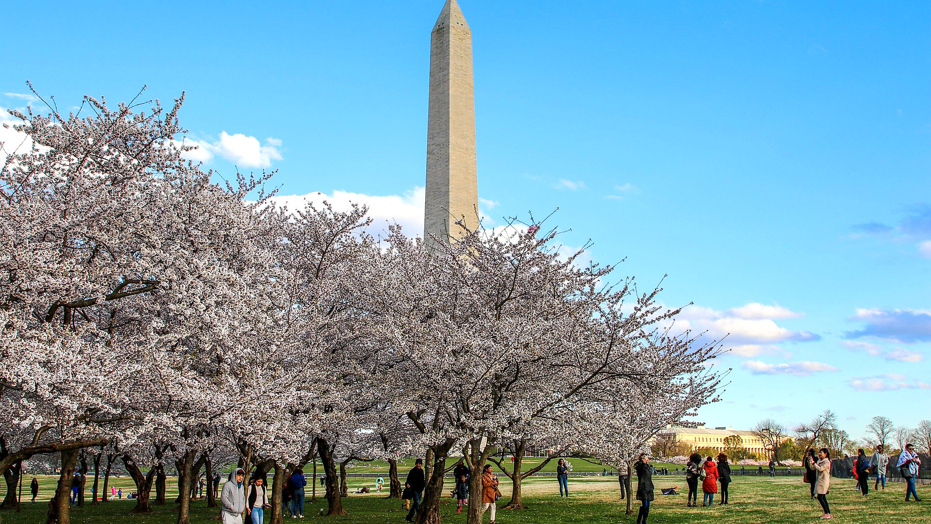 Safety context at Washington Monument
