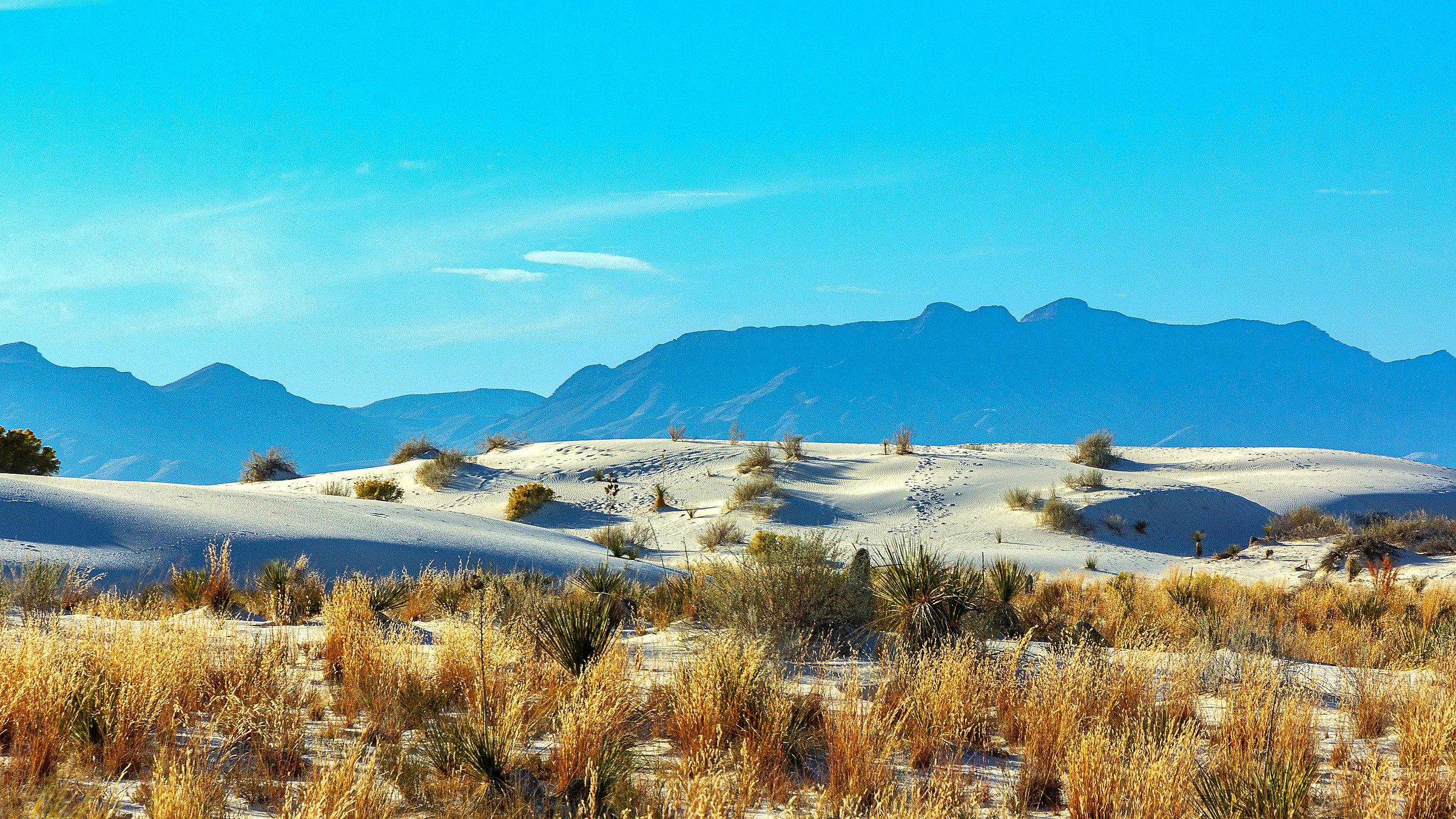 Interdune Boardwalk in White Sands National Park