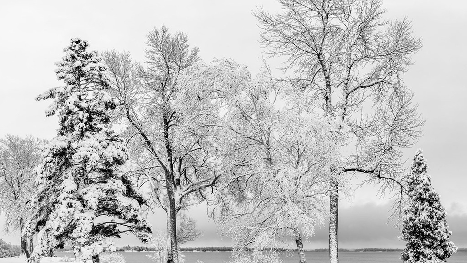 Winter Park scenic landscape for RV trip planning