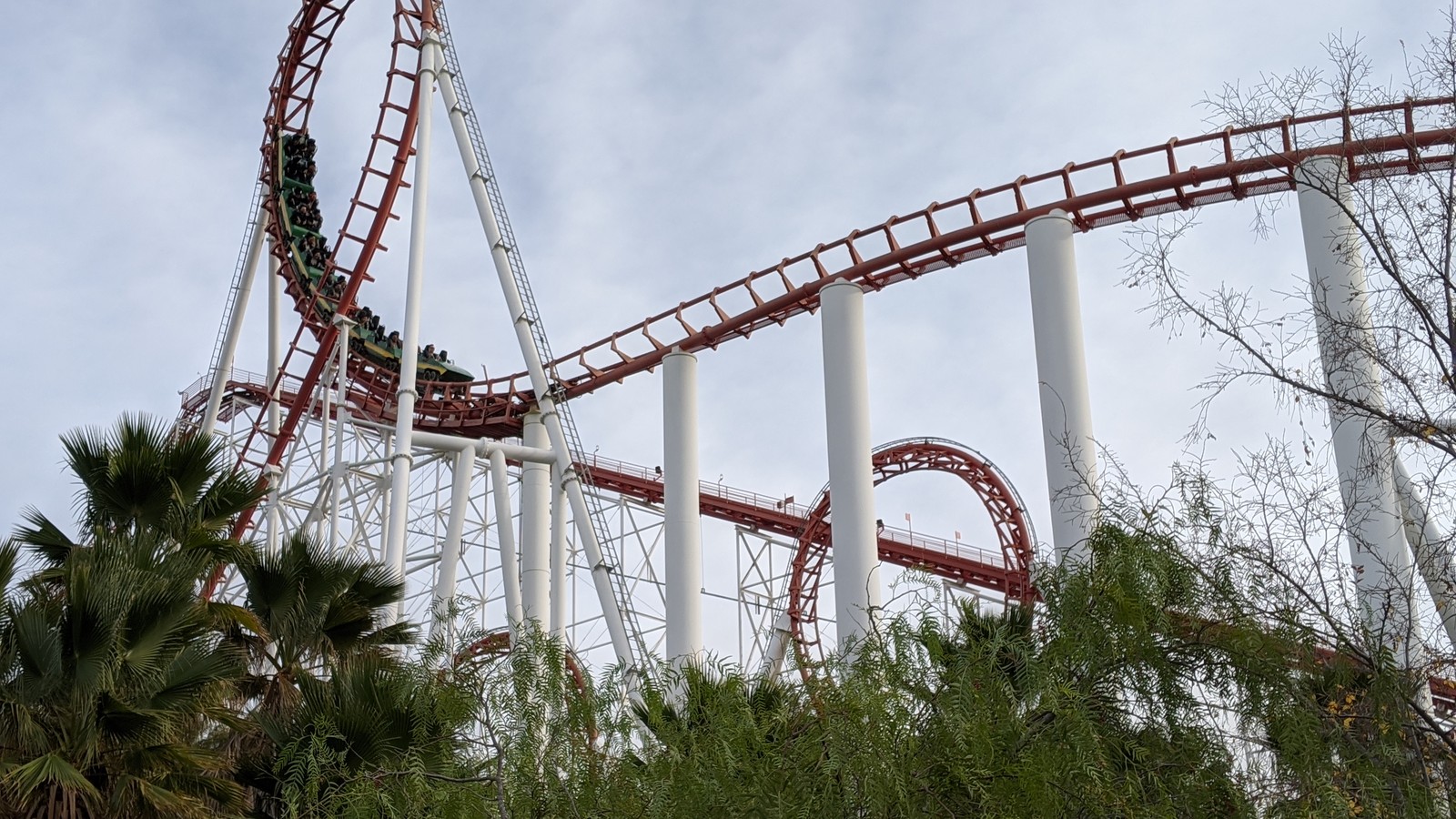 Daytime view of a looping coaster and palm trees at Six Flags Magic Mountain in Valencia California