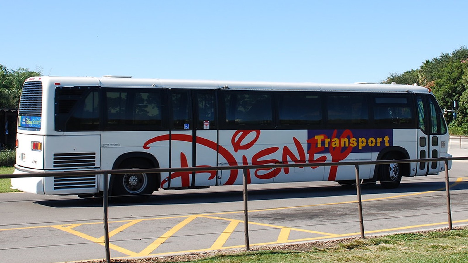 Disney Transport bus serving Walt Disney World resort routes including Animal Kingdom