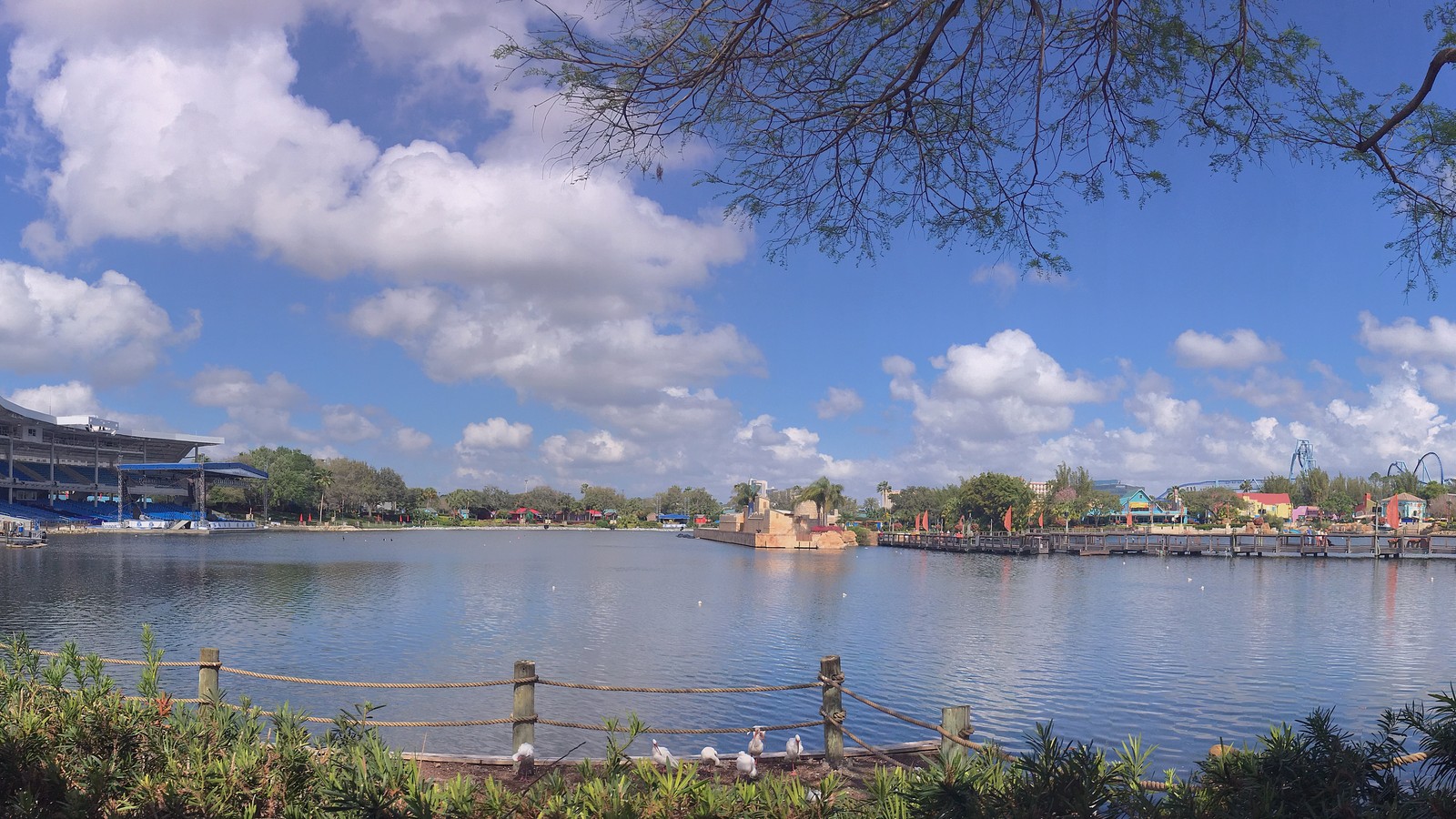 Wide view of the lagoon and parkscape at SeaWorld Orlando under bright sky
