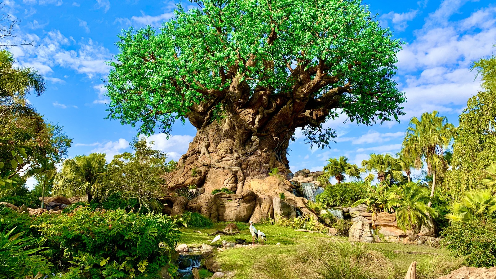 Tree of Life centerpiece at Disney's Animal Kingdom under daytime sky