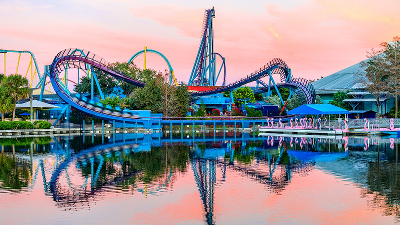 Mako roller coaster at SeaWorld Orlando used for anniversary tour coverage