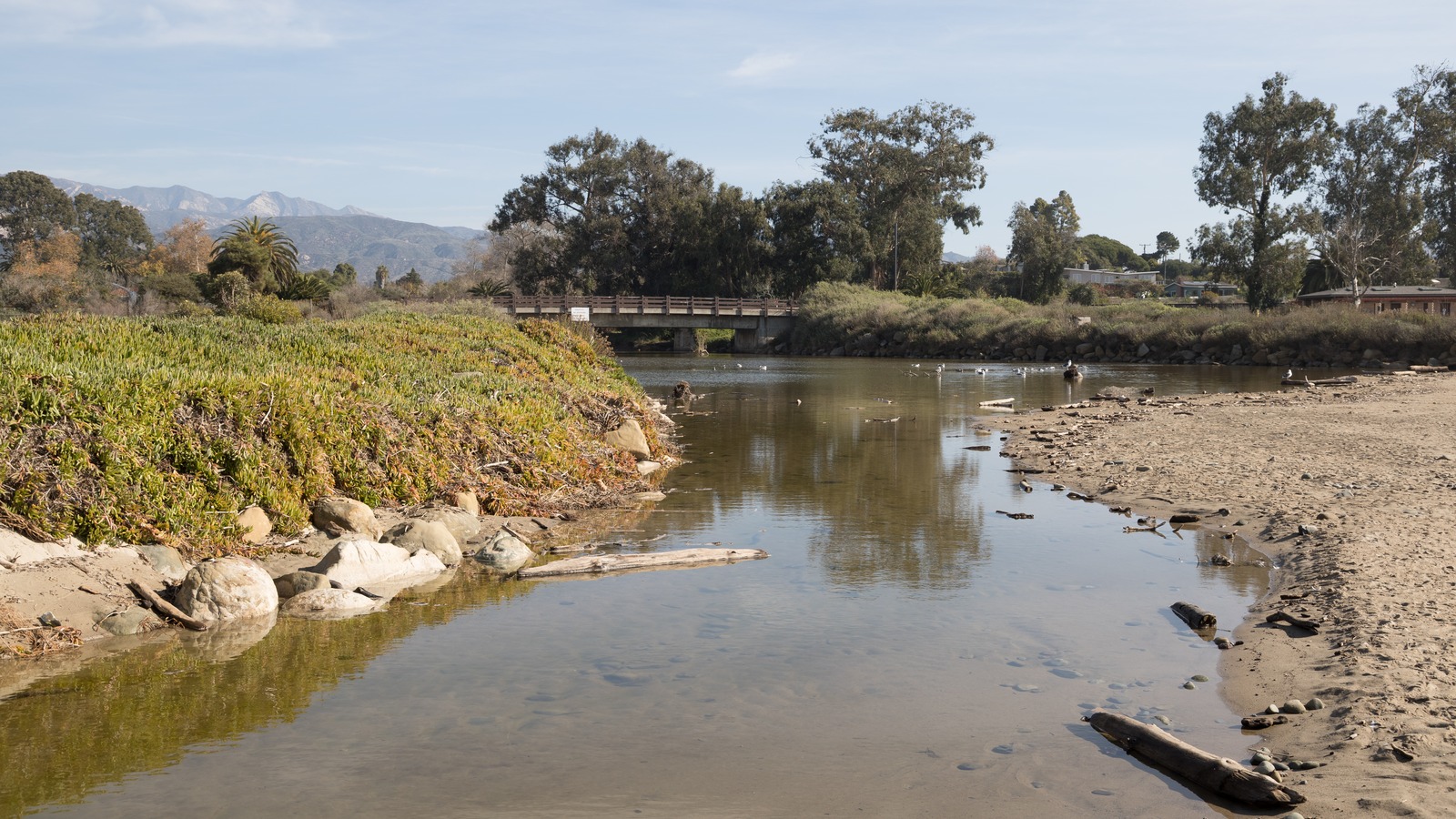 Carpinteria Creek corridor in Carpinteria, California, with bridge and Santa Ynez Mountains beyond
